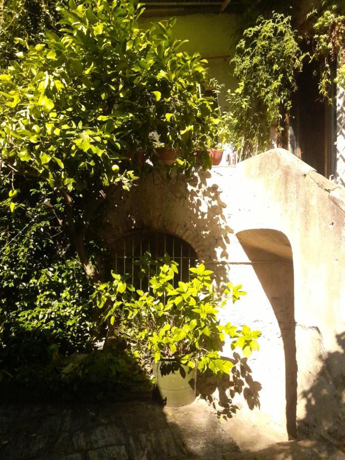 לינה וארוחת בוקר Castelveccana Nonna Anita מראה חיצוני תמונה