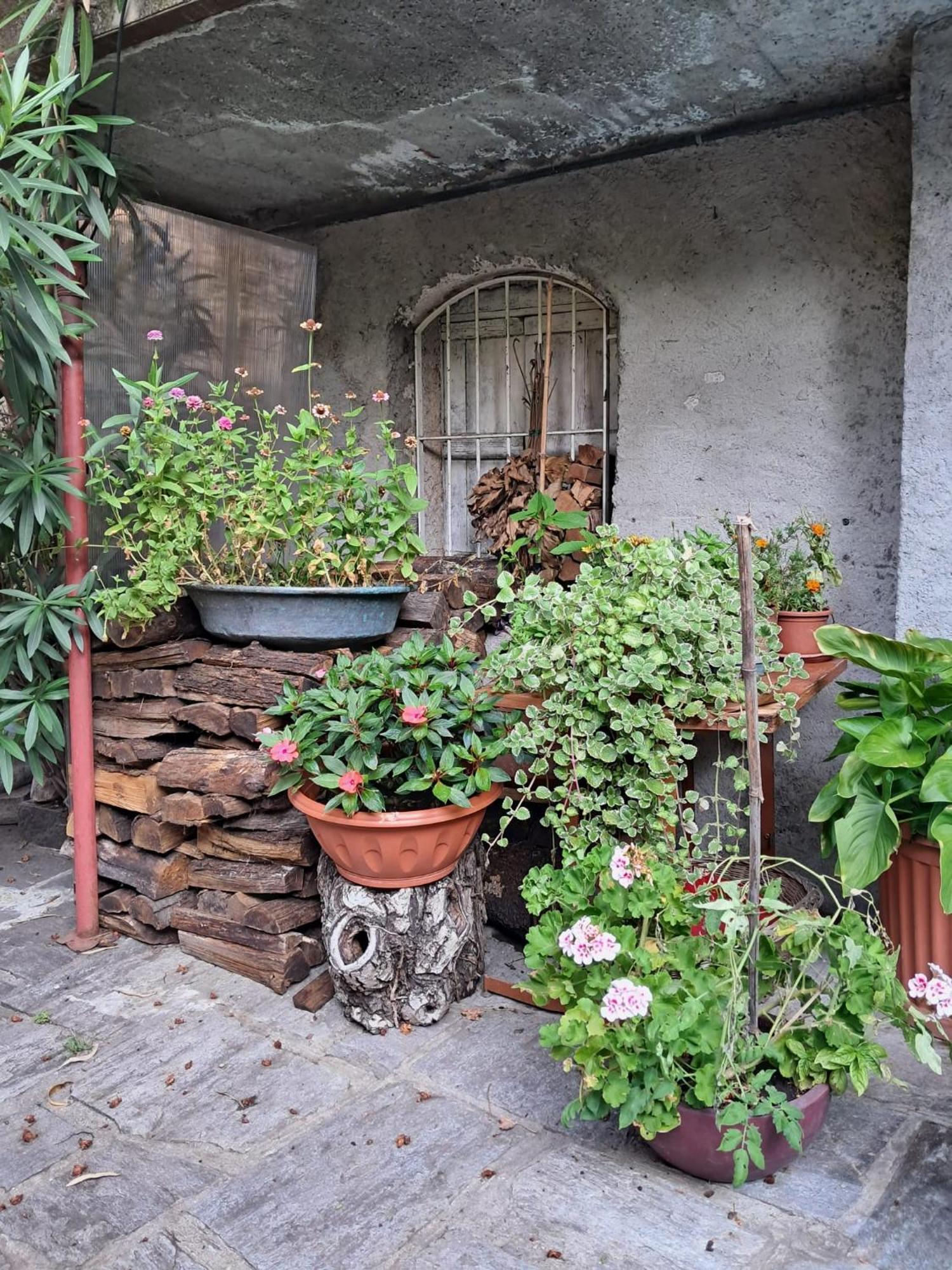 לינה וארוחת בוקר Castelveccana Nonna Anita מראה חיצוני תמונה